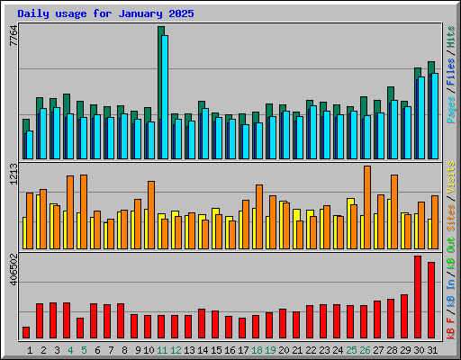 Daily usage for January 2025