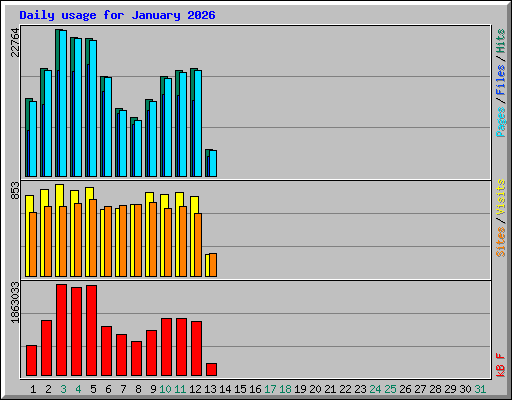Daily usage for January 2026