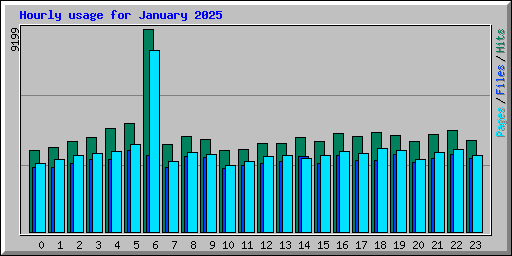 Hourly usage for January 2025