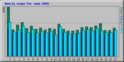 Hourly usage for June 2025
