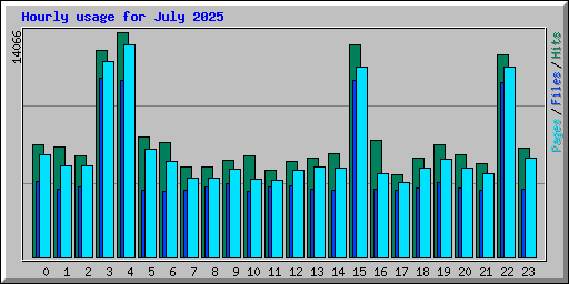Hourly usage for July 2025