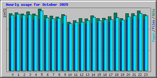 Hourly usage for October 2025