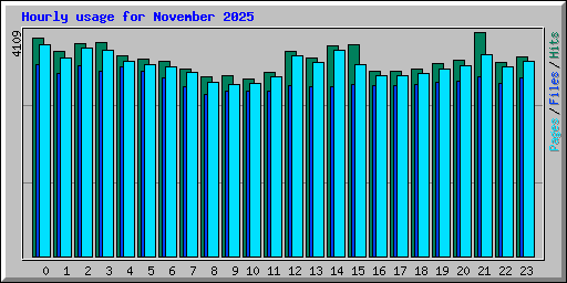 Hourly usage for November 2025
