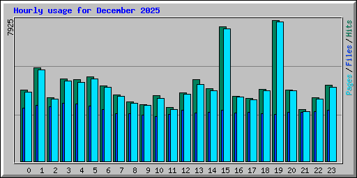 Hourly usage for December 2025