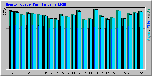 Hourly usage for January 2026