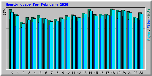 Hourly usage for February 2026