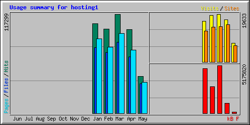 Usage summary for hosting1